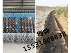 國(guó)內(nèi)水利工程專(zhuān)用固濱籠 大品牌廠家的專(zhuān)業(yè)之選